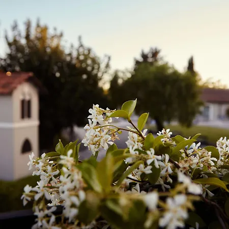 Mercure Romanazzi Carducci Hotel 4*